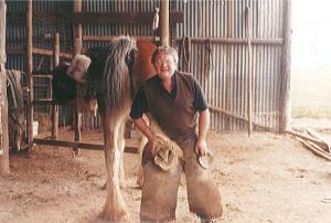 Shoeing one of 'Scoota's' youngsters